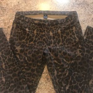 Leggings, leopard, Dillard’s